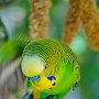 Butterfly World, 2/24/18