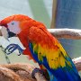Butterfly World, 2/24/18