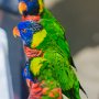Butterfly World, 2/24/18