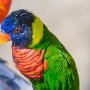 Butterfly World, 2/24/18