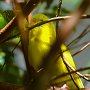 Butterfly World, 2/24/18