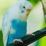 Butterfly World, 2/24/18