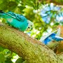 Butterfly World, 2/24/18