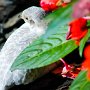 Butterfly World, 2/24/18