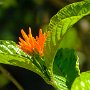 Butterfly World, 2/24/18