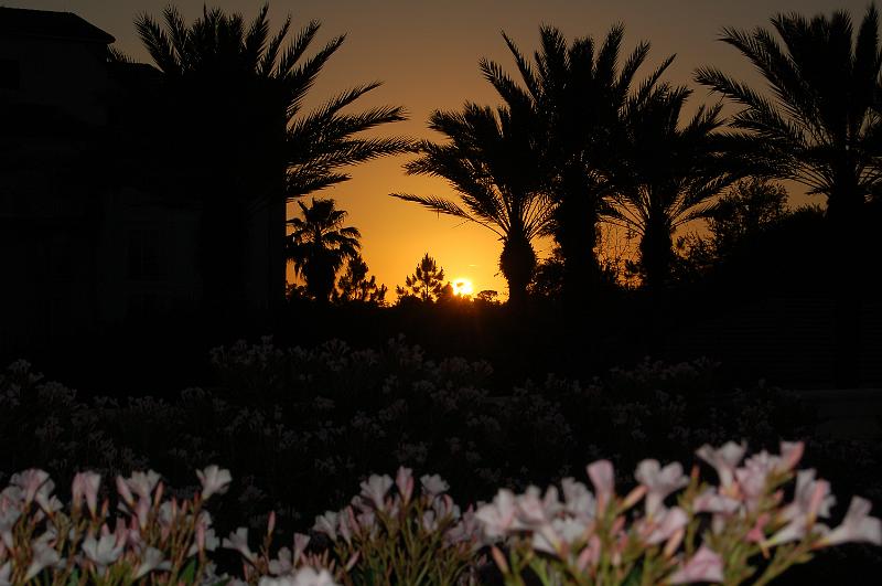 DSC_6718.JPG - Sunset on the grounds of the Portofino Bay Hotel, Universal Studios, Orlando