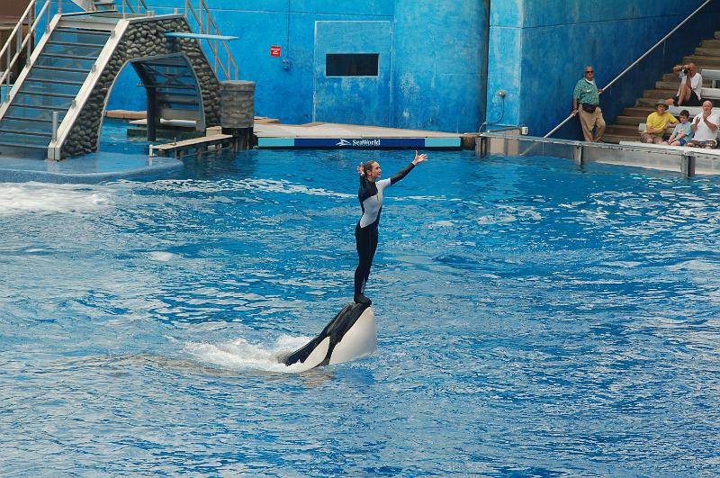 DSC_0261.JPG - Believe - The Killer Whale Show, Sea World, Orlando