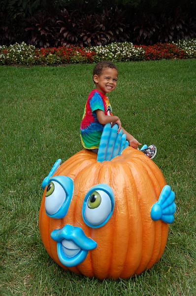 DSC_0332.JPG - Octavious at Sea World, Orlando