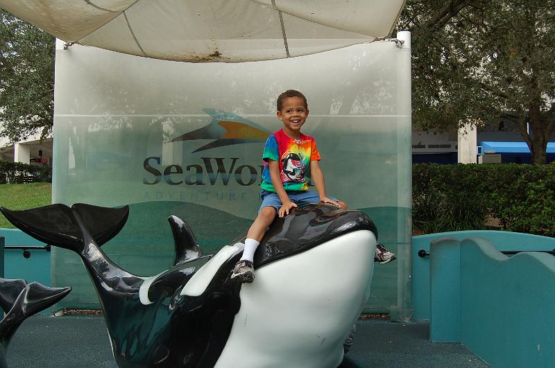 DSC_0336.JPG - Ocatvious at Sea World, Orlando