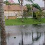 After Hurricane Irma