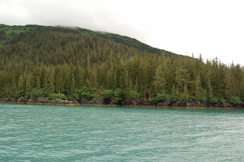 20.JPG - Typical scenery from the tour boat on Prince William Sound, Alaska