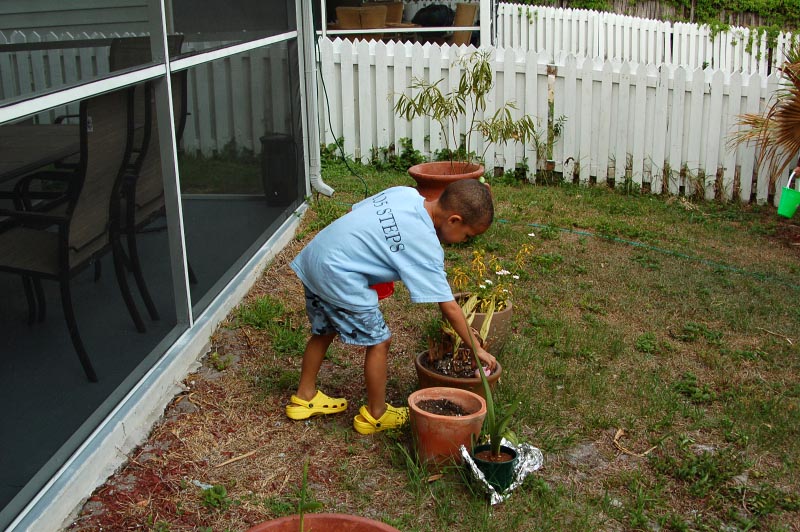 Easter_001.JPG - Octavious searching for Easter eggs