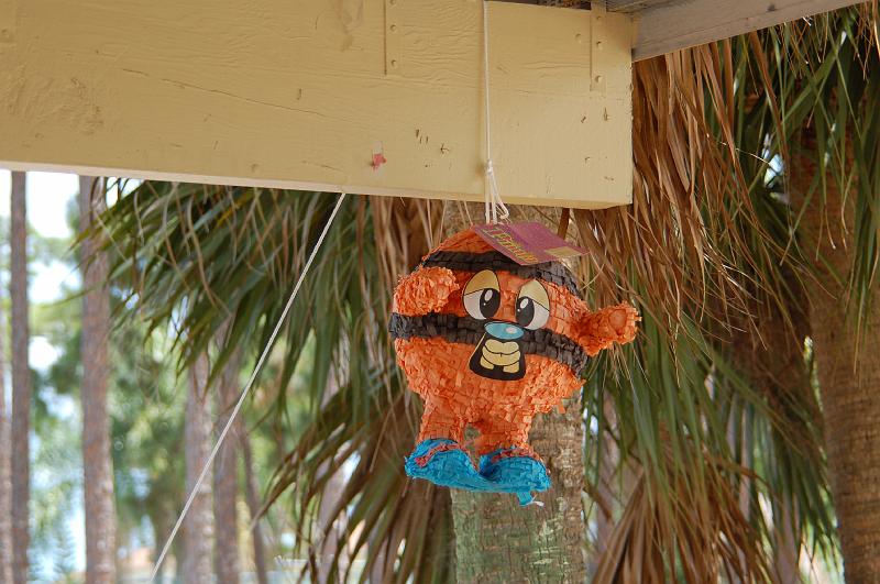 DSC_5104.JPG - The birthday pinata