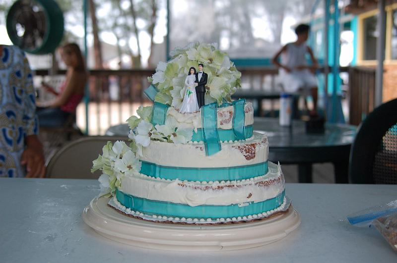 DSC_9370.JPG - Richie and Jessica Wedding - The cake survived the trip to the Keys