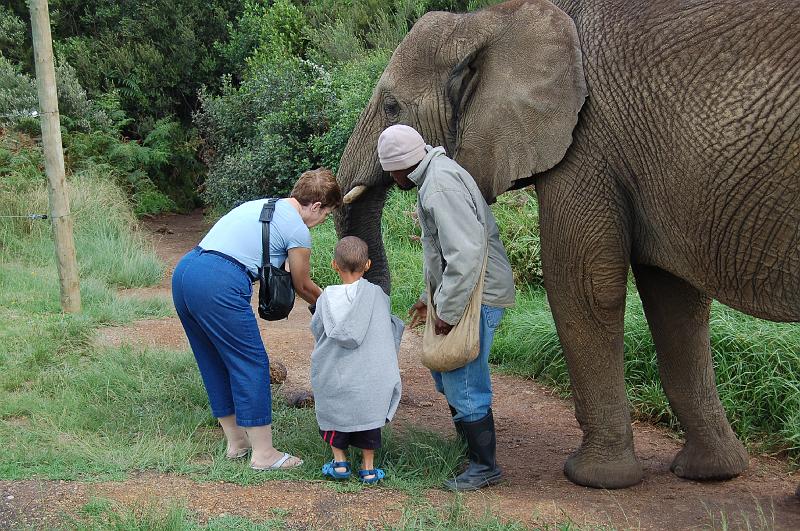 DSC_4048.JPG - Deb and Octavious feed the elephants at the Elephant Sanctuary at Plettenberg Bay
