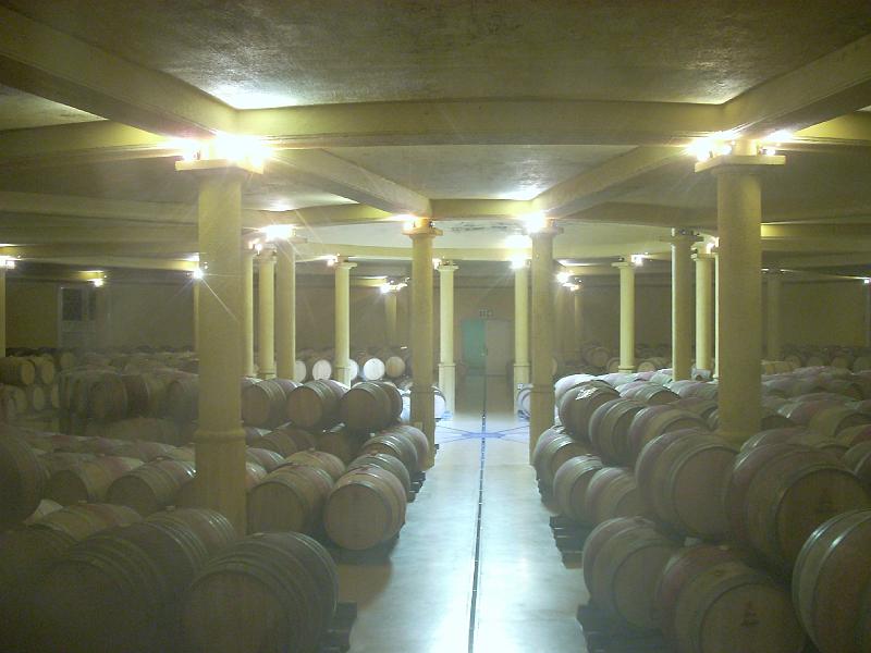 DSCN0318.JPG - Morganhof - one of only 4 underground wine cellars in the world