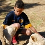 Tavus with the lion cubs