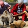 Mark, Deb and Tavus with the lion cubs